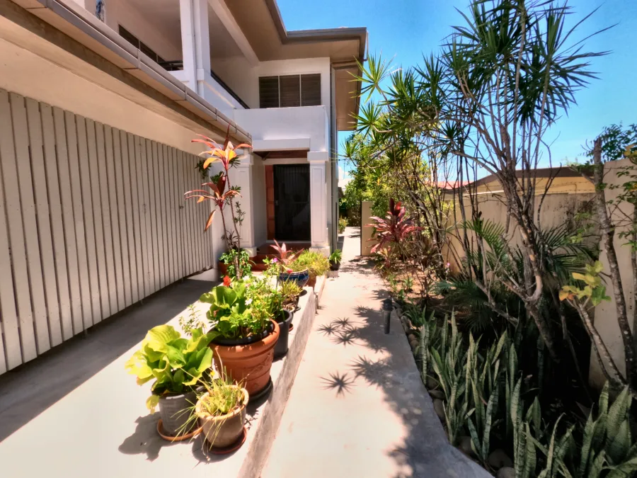 The planted approach to the Back Apartment front door